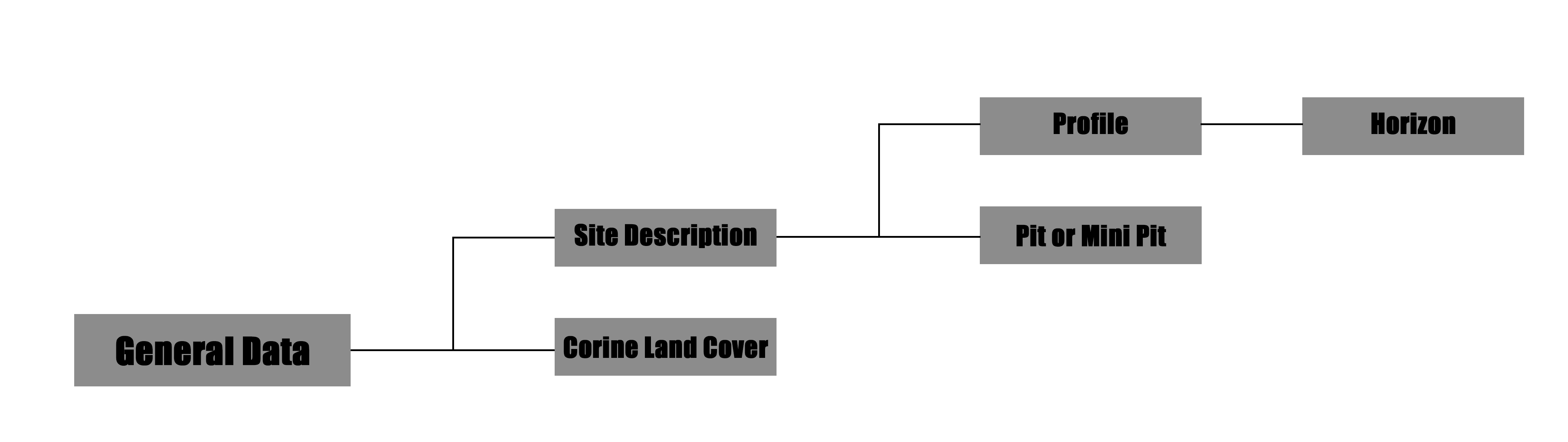 Schema obout the structure of the SOSystem field Form, and the relative section